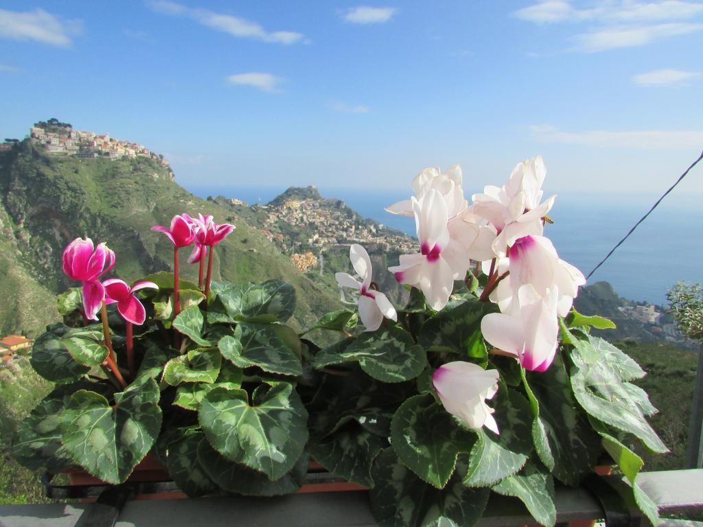 Casale Di Caterina Guest House Taormina Eksteriør bilde